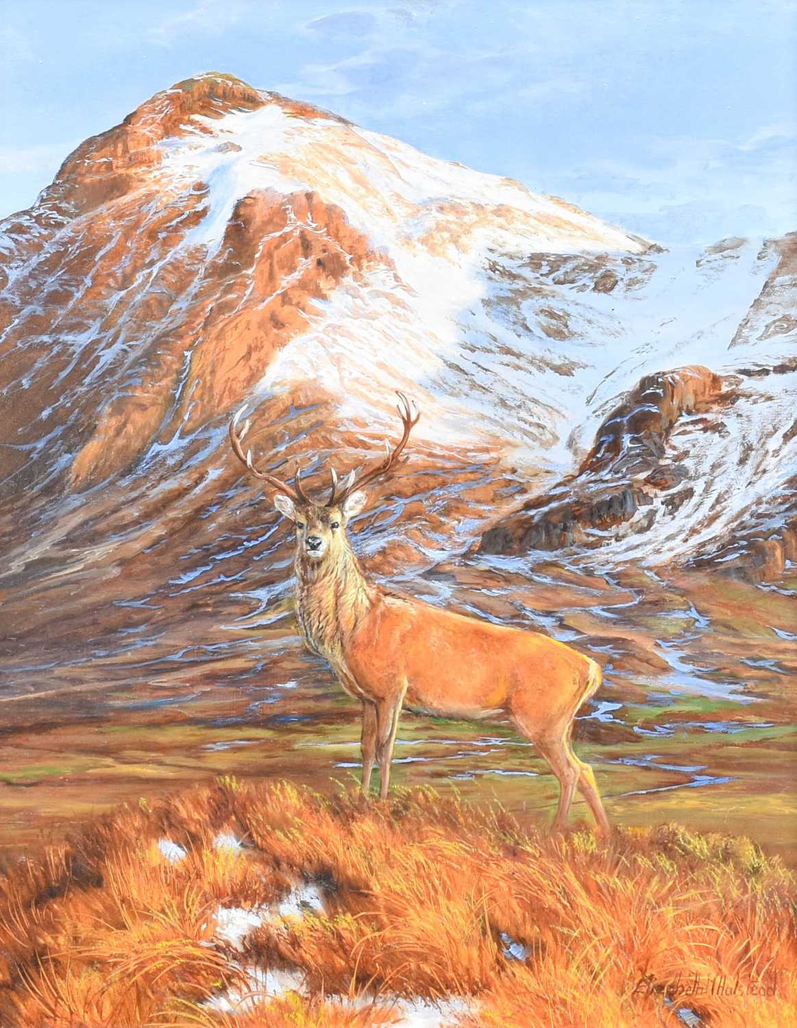 Elizabeth Halstead (20th Century) Majestic Red Stag in a Highland landscape Signed, oil on board,