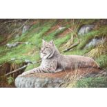 Hans Bulder (b.1953) Lynx at rest on a boulder Signed, oil on board, together with two further