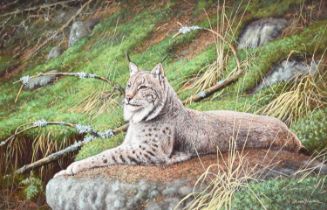 Hans Bulder (b.1953) Lynx at rest on a boulder Signed, oil on board, together with two further