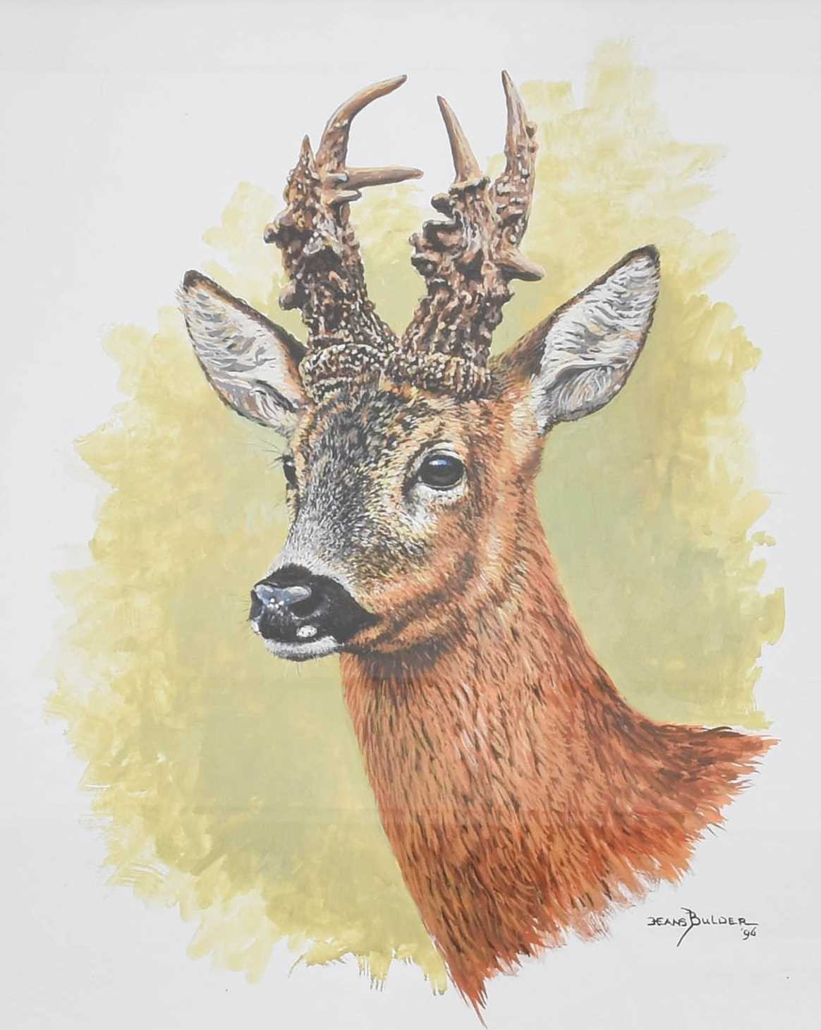 Hans Bulder (b.1953) Head study of a Roe Buck Signed and dated (19)96, watercolour heightened with - Image 9 of 12