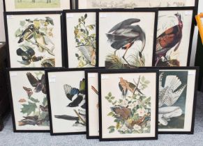 A Set of Nine John James Audubon's "Birds of North America" Decorative Ornithological Prints After