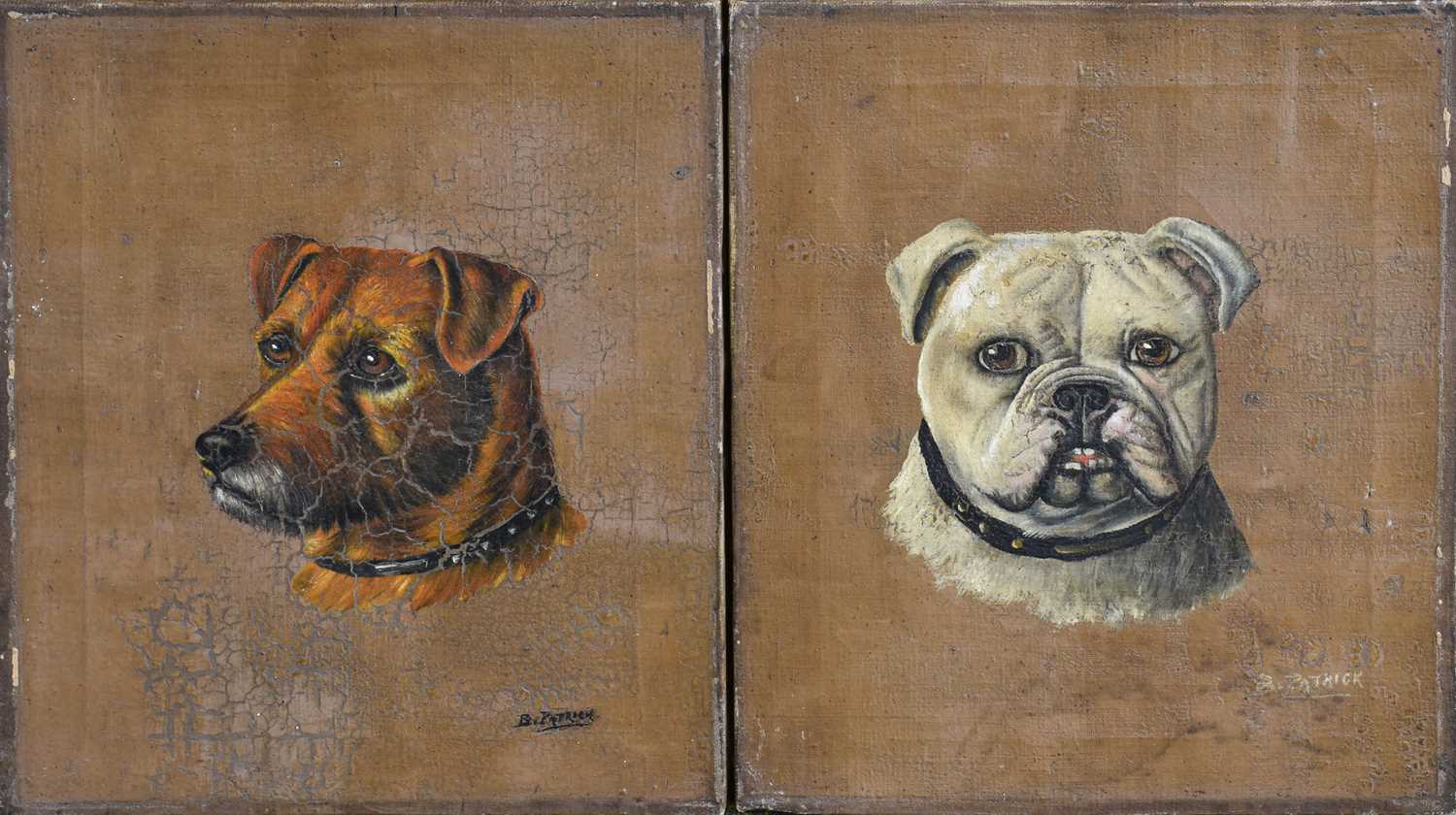 B* Patrick (19th/20th Century) Head study of a bulldog Signed, oil on canvas; together with a