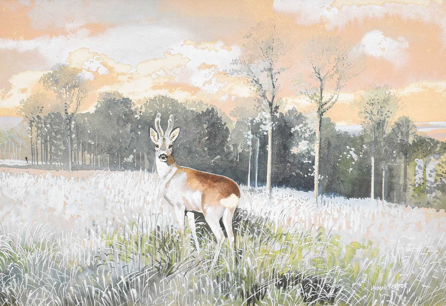 Hubert Pepper (1928-1985) Grazing deer in a woodland landscape Signed and dated (19)65, watercolour, - Image 3 of 4