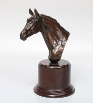Priscilla Hann (b.1943), A Cast Bronze Bust of a Horses Head, on wooden base, signed, 21.5cm high