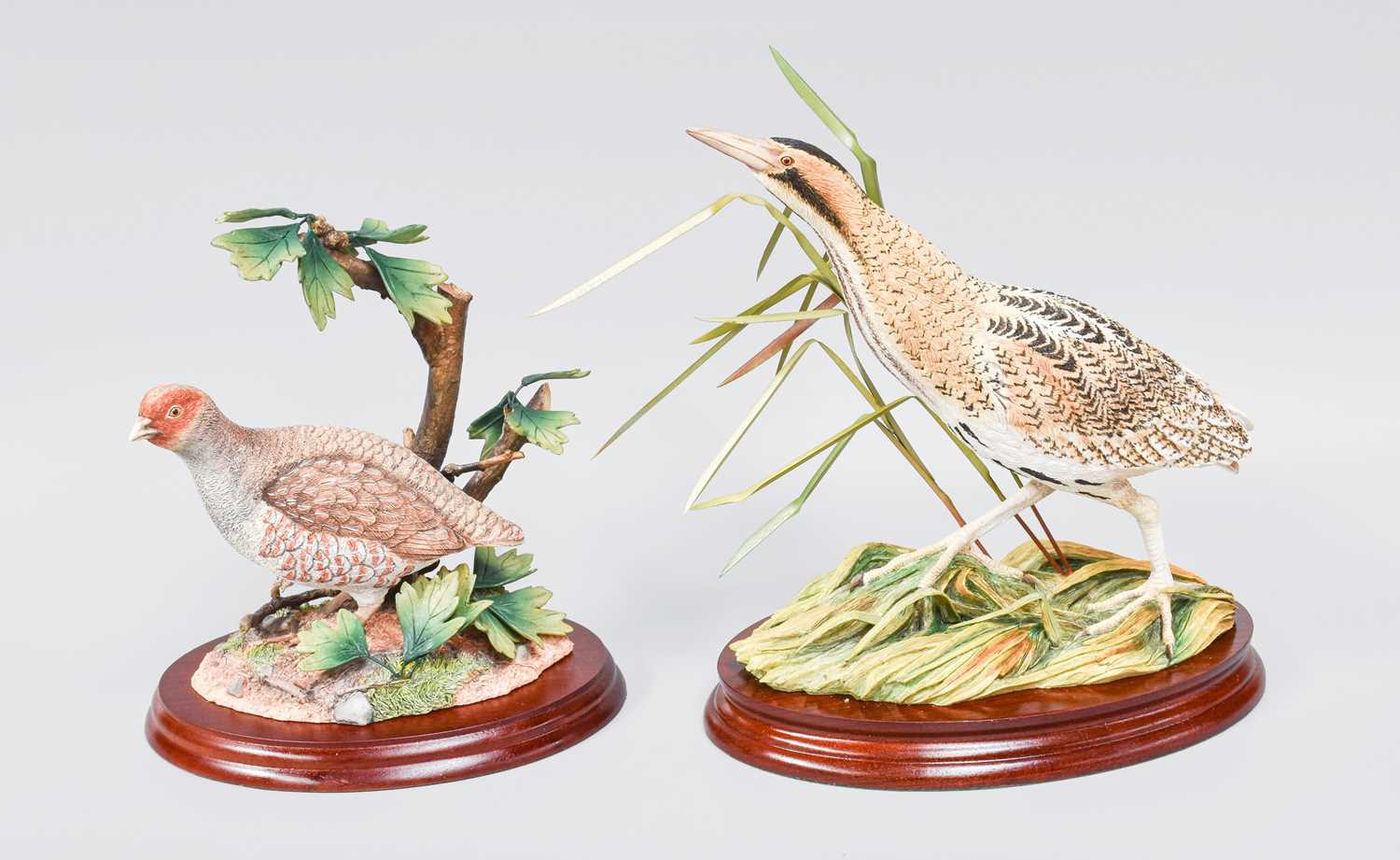 Border Fine Arts Birds Comprising: 'Grey Partridge', model No. B1030, limited edition 131/250,