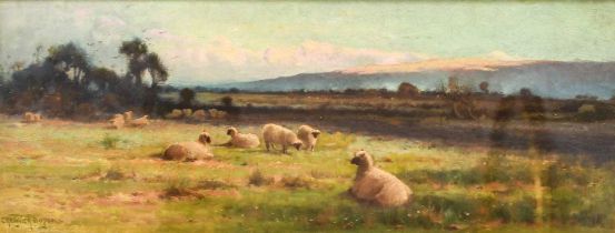 Creswick Boydell (1861-1919) Grazing pasture with sheep Signed, oil on board, together with a