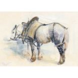 William Woodhouse (1857-1939) Dapple grey horse in tack feeding from a trough Signed, pencil and