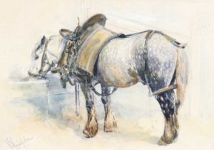 William Woodhouse (1857-1939) Dapple grey horse in tack feeding from a trough Signed, pencil and