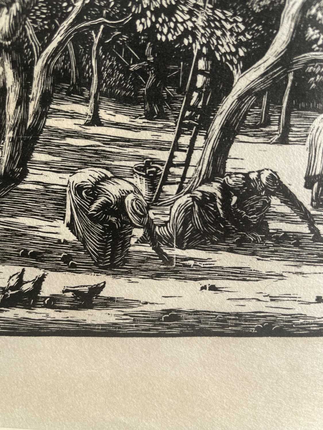 Gwen Raverat (1855-1957) "Apple Pickers" Wood engraving, together with a further wood engraving by - Image 14 of 14