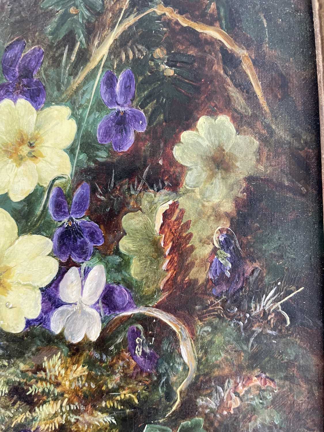 Albert Durer Lucas (1828-1918) Still life of Primroses and Violets on a mossy bank Signed and - Image 5 of 17