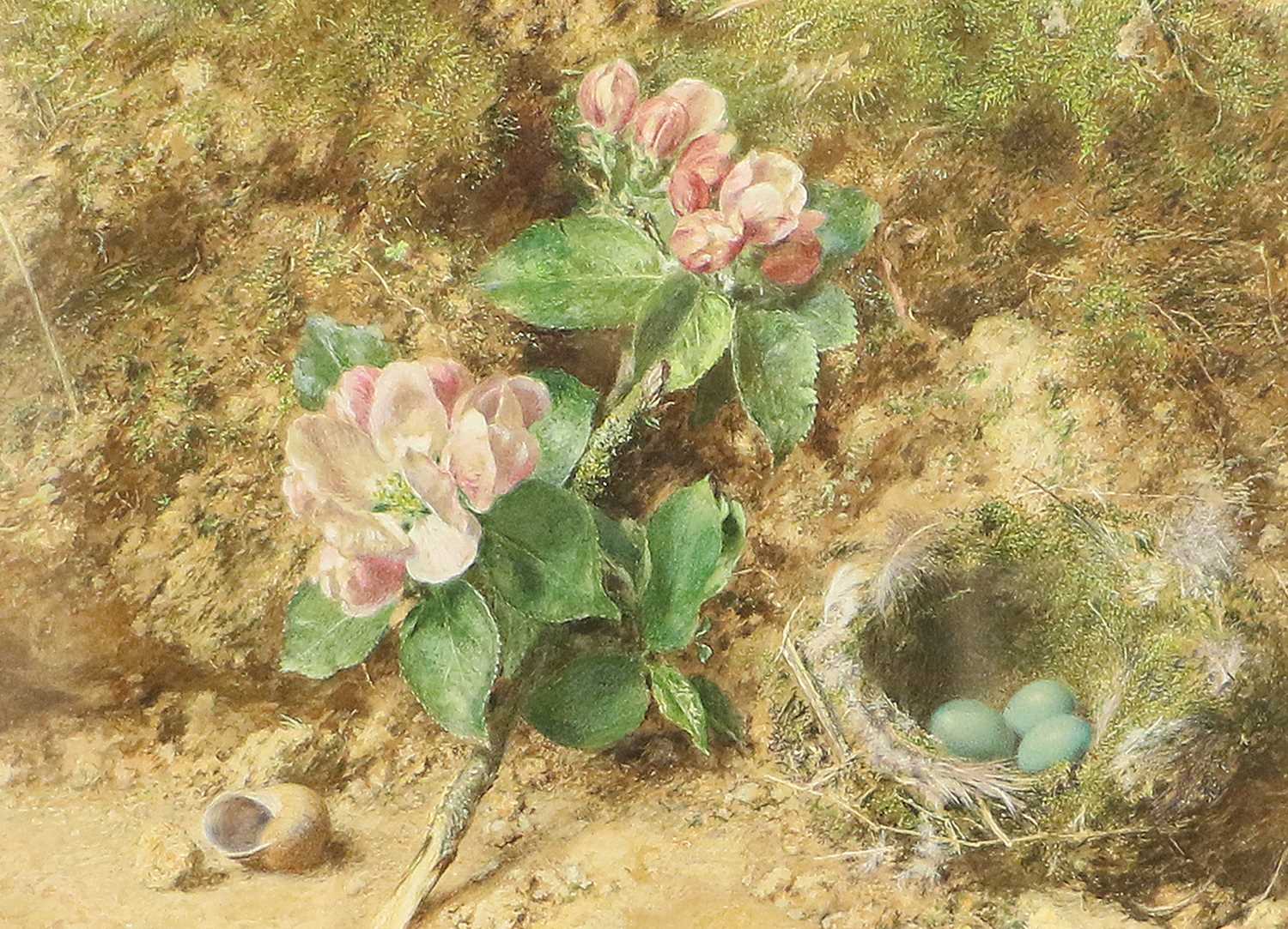 William Henry Hunt OWS (1790-1864) A sprig of blossom, a snail's shell, and a bird's nest on a mossy