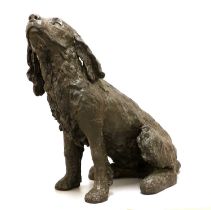Follower of Sally Arnup FRBS, ARCA (1930-2015) Seated Springer Spaniel Cold cast bronze, 50cm high