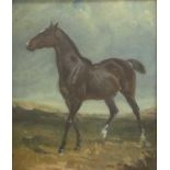 James Lynwood Palmer (1868–1941) Favourite Hunter Oil on canvas, 17.5cm by 14.5cm