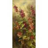 C*E* (late 19th century) A study of crimson Hollyhocks in bloom Initialled and dated 1898, oil on