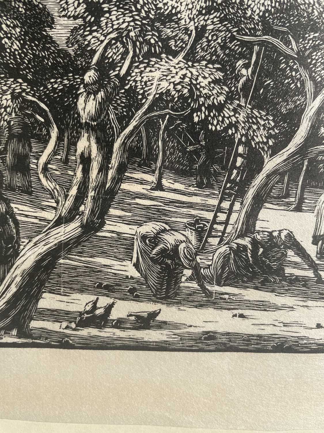 Gwen Raverat (1855-1957) "Apple Pickers" Wood engraving, together with a further wood engraving by - Image 12 of 14