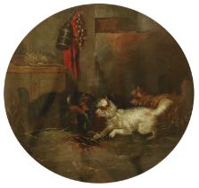 George Armfield (1808-1893) Terriers ratting in an interior Signed, oil on canvas, 28cm (tondo)