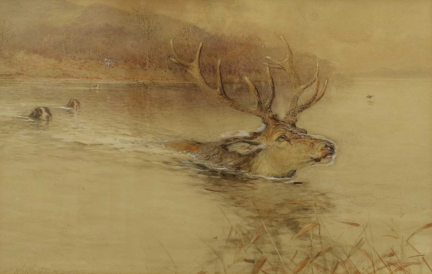 William Woodhouse (1857-1939) Hounds pursuing a swimming stag Signed, watercolour heightened with