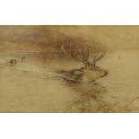 William Woodhouse (1857-1939) Hounds pursuing a swimming stag Signed, watercolour heightened with