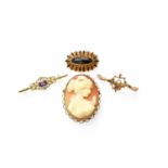 Four Brooches, comprising of a cameo brooch, in a 9 carat gold frame, measures 4.5cm by 3.5cm; a