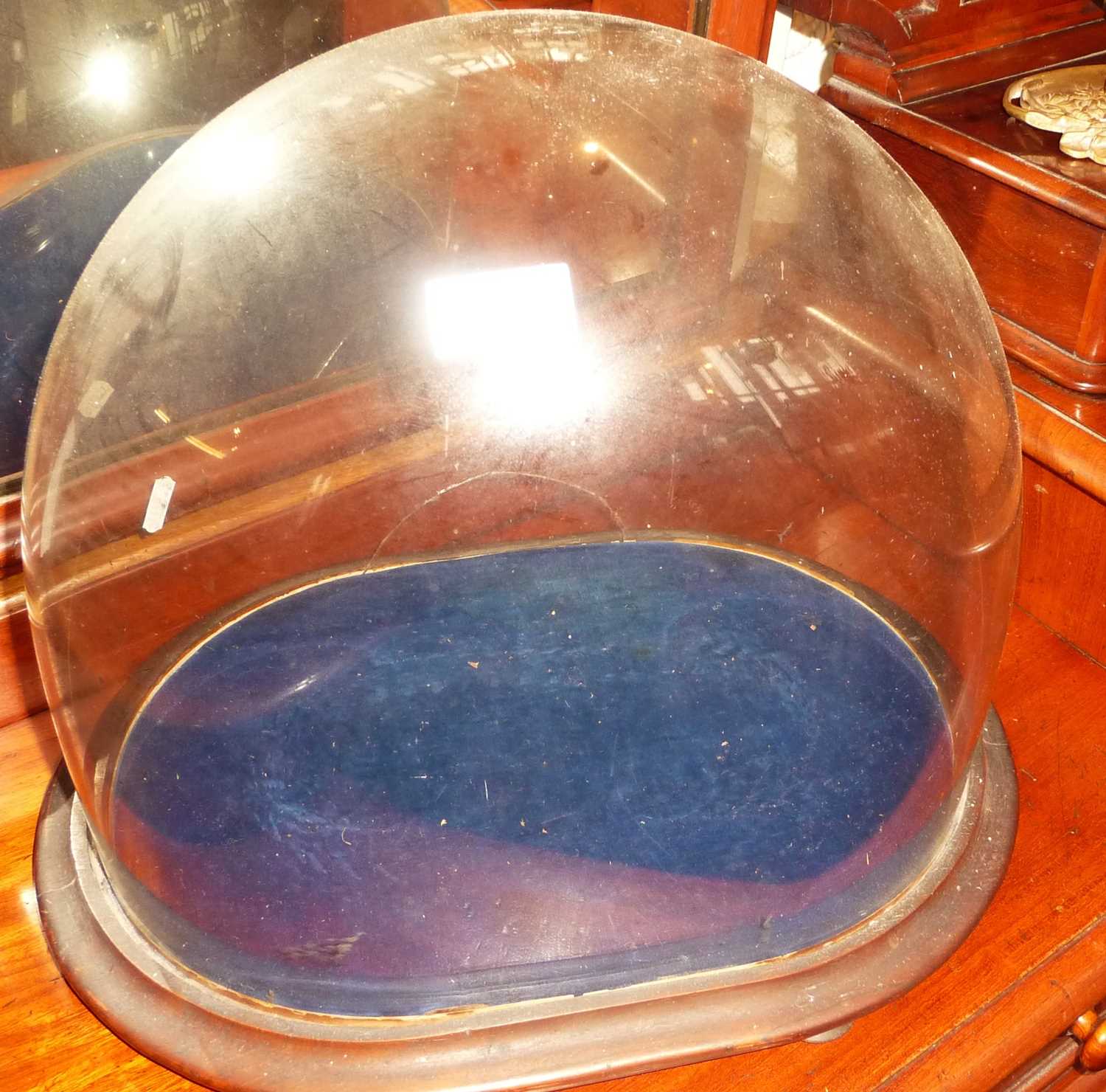 Victorian oval glass dome on stand (repair to rear)