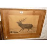 Pencil drawing of a stag by a young Gertrude BUGLER (Hardy's Tess of the Durbervilles), monogram and