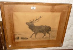 Pencil drawing of a stag by a young Gertrude BUGLER (Hardy's Tess of the Durbervilles), monogram and