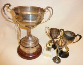 Large silver cribbage trophy, weighing approx. 319g, together with some other plated trophies