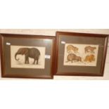 Two 19th century coloured steel engravings of African Elephant and African cat family