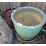 Two garden pots with trays