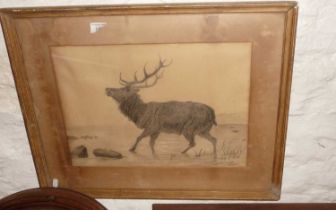 Pencil drawing of a stag by a young Gertrude BUGLER (Hardy's Tess of the D'Urbervilles), monogram