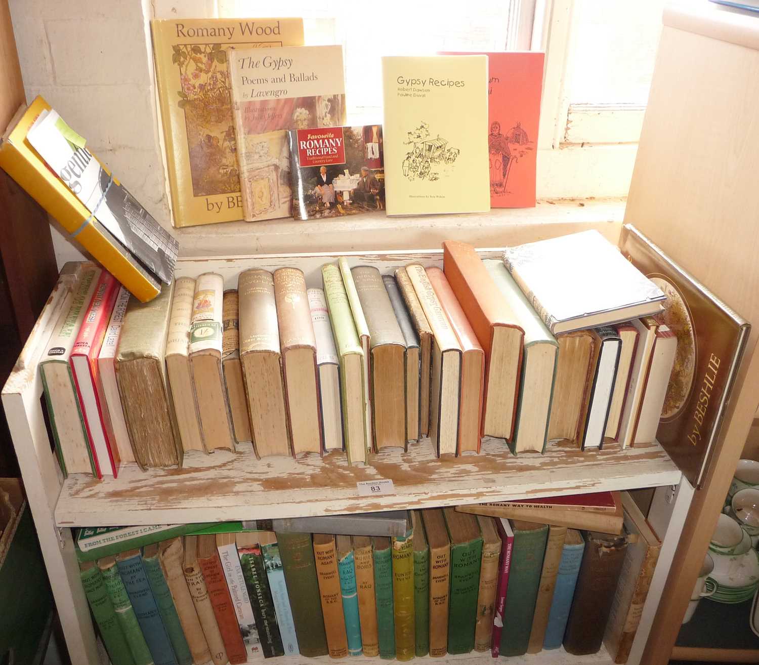 Large collection (on 2 shelves) of books about and by gypsies, inc. 1st Editions and authors