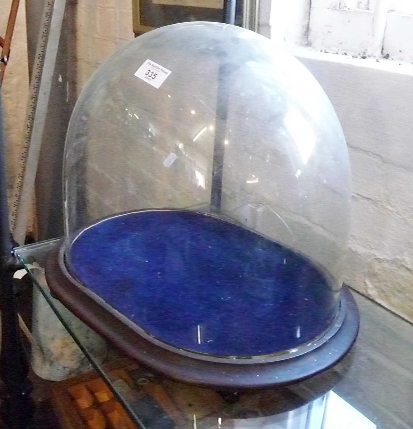 Victorian oval glass dome on stand (repair to rear)