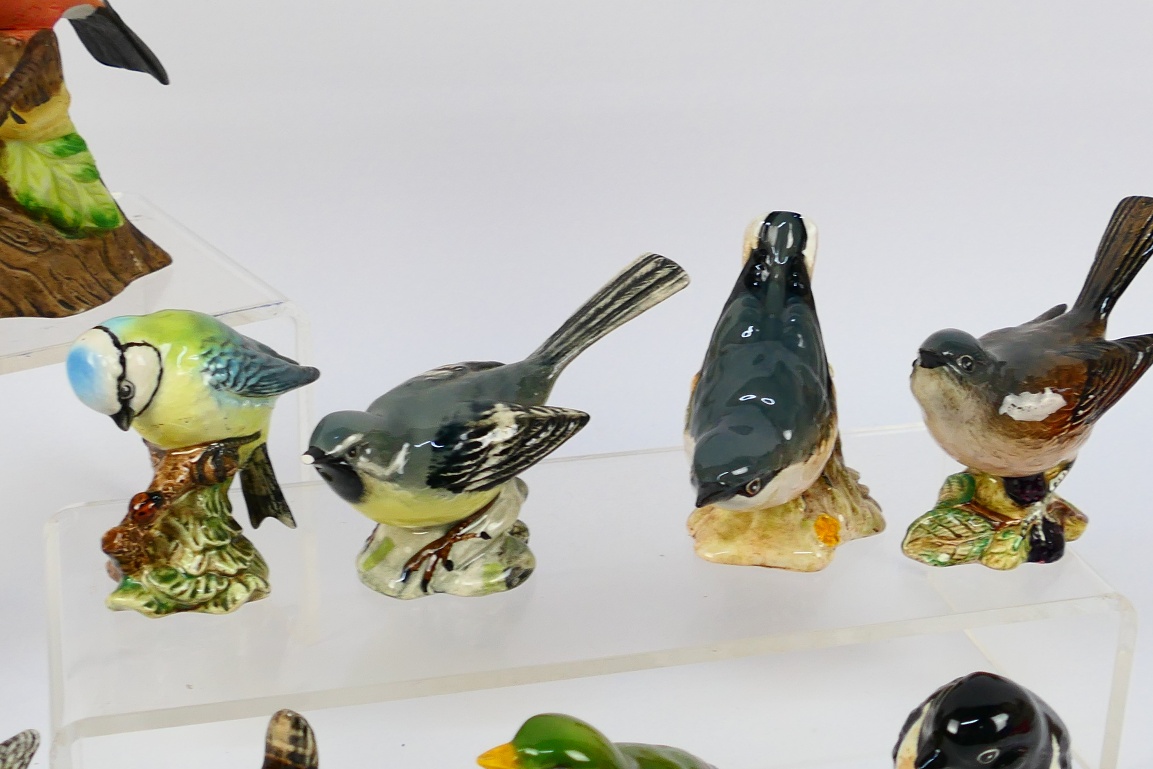 A group of bird studies, predominantly Beswick to include Wren, Nuthatch, Blue Tit, - Image 3 of 7