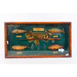 A decorative fly fishing framed montage comprising model fish and rod, pictures and similar,