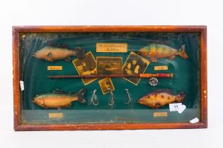 A decorative fly fishing framed montage comprising model fish and rod, pictures and similar,