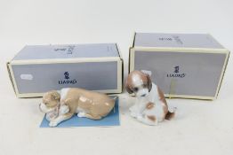 Lladro - Two boxed animal figures / groups to include # 6417 Unlikely Friends depicting a sleeping