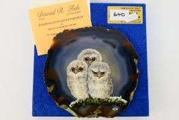 David R Fish - A slice of polished Brazilian agate with painting of Young Long-eared Owls by