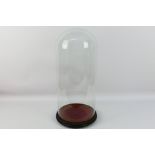 Unknown Maker - A large glass Victorian dome on an ebonised 3 footed base with a red velvet covered