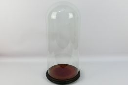 Unknown Maker - A large glass Victorian dome on an ebonised 3 footed base with a red velvet covered