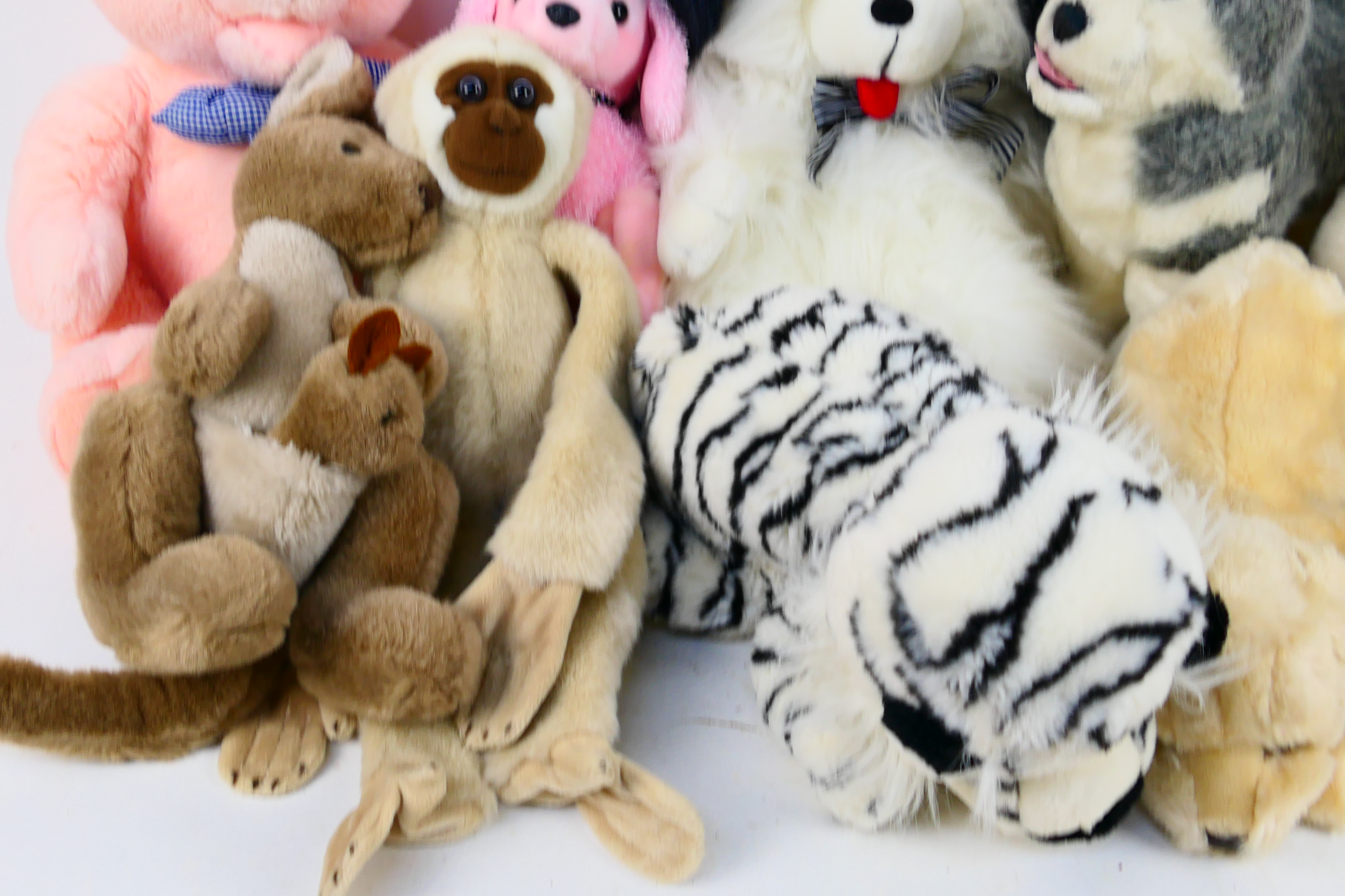 Plush Toys - Dogs - Monkey - Kangaroo - - Image 3 of 4