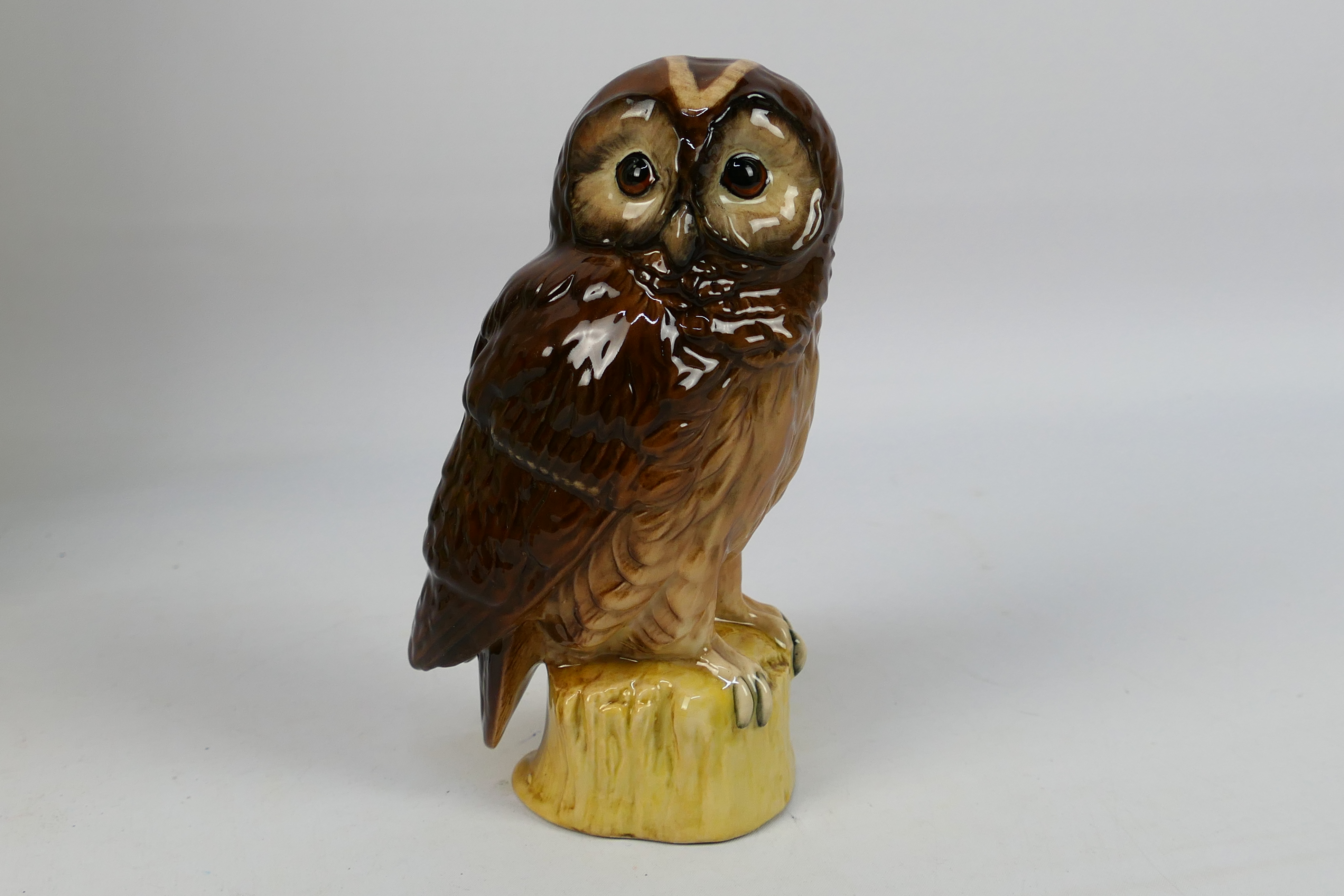 A Royal Doulton Whyte & Mackay Tawny Owl decanter from the Scottish Owls Series, 20cl and 40% abv, - Image 11 of 13