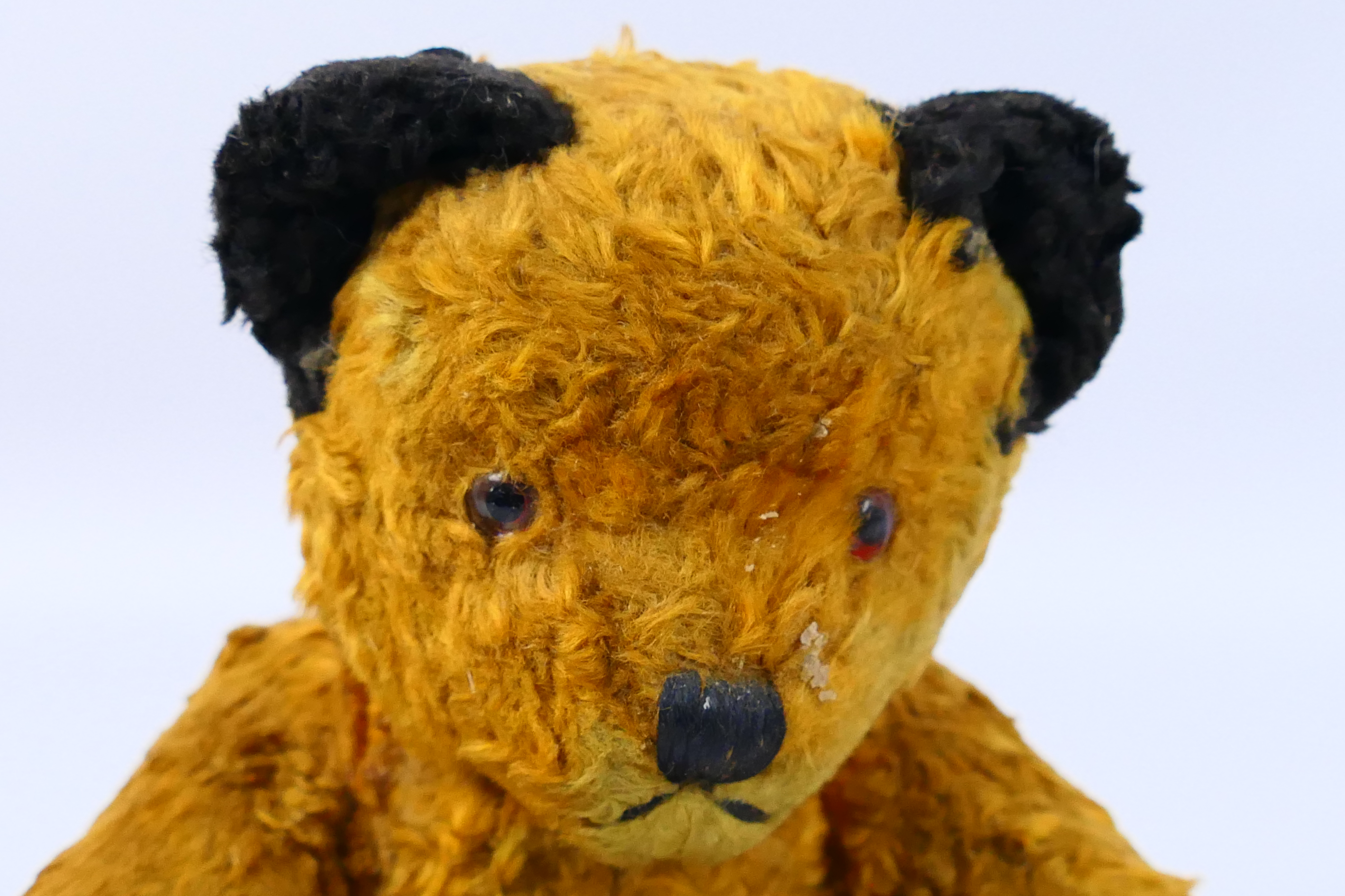 Unknown Maker - A mid century jointed Sooty Bear, - Image 4 of 8