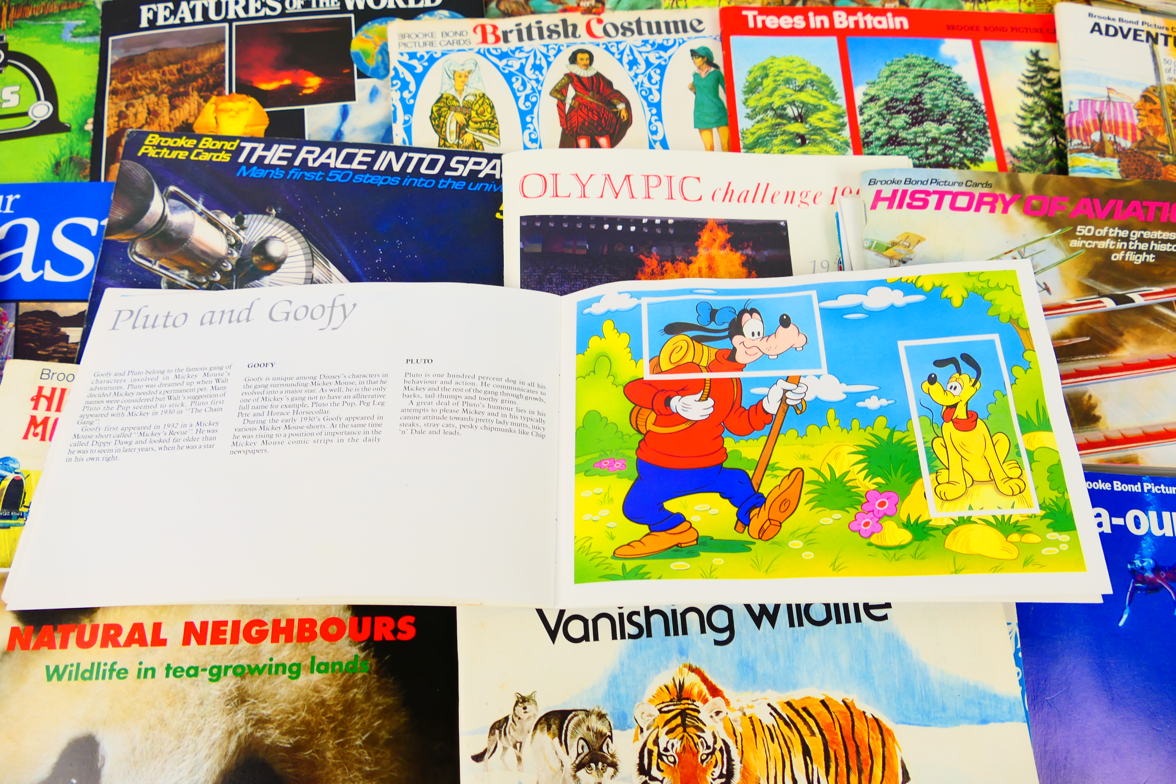 A collection of picture card albums including Ninja Turtles, The Magical World of Disney, - Bild 3 aus 5