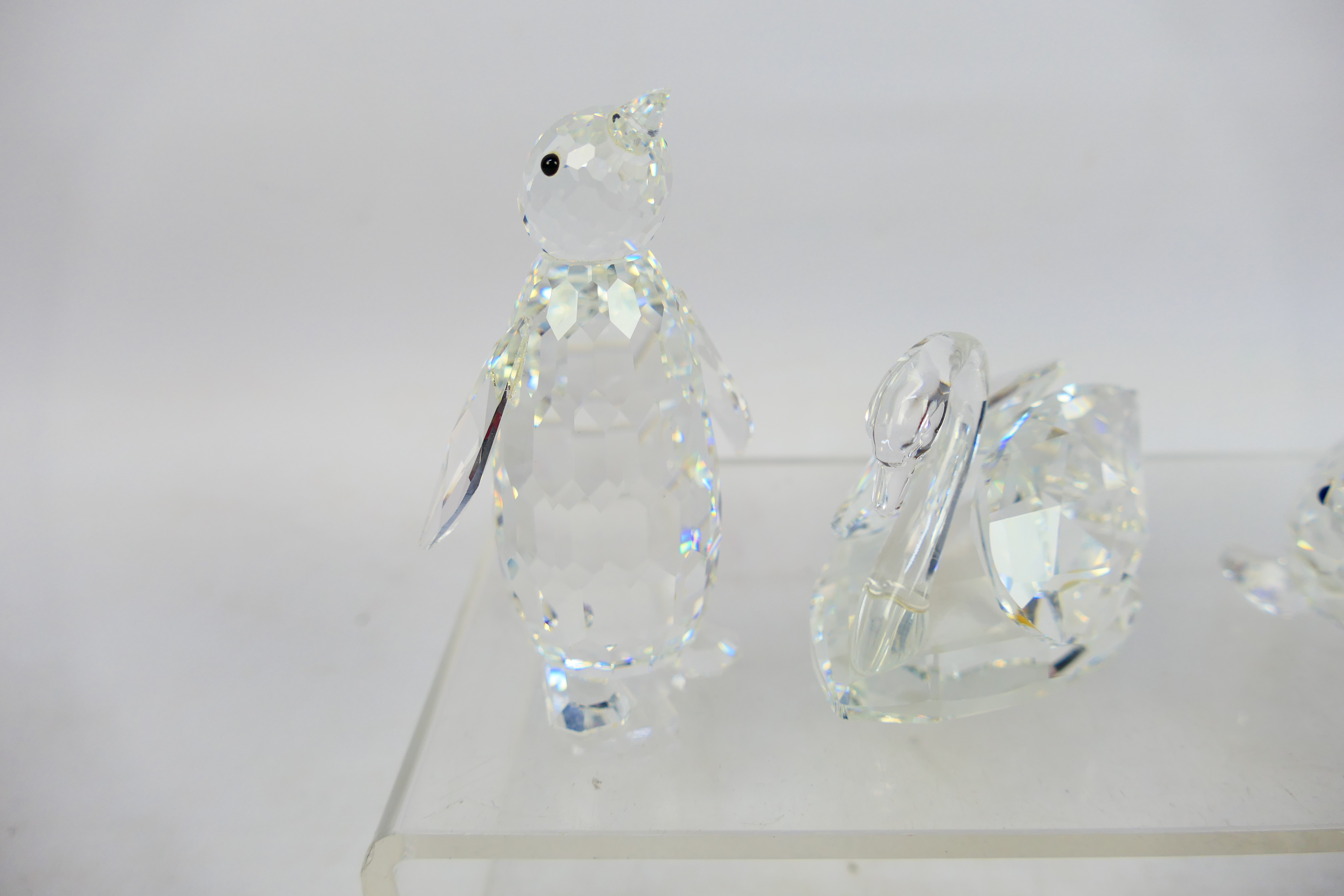 Swarovski - A collection of animal figures to include swan, elephant, walrus, owl and other. - Image 2 of 6