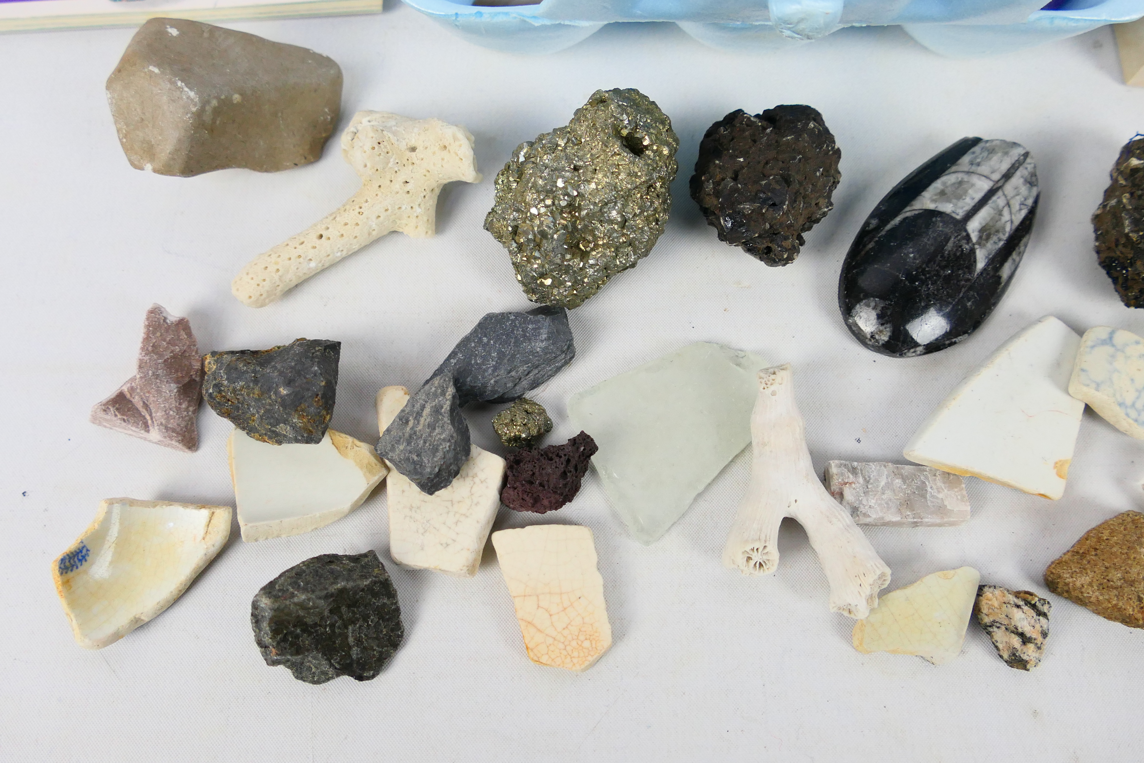 Lot comprising fossils, mineral samples, - Image 4 of 9