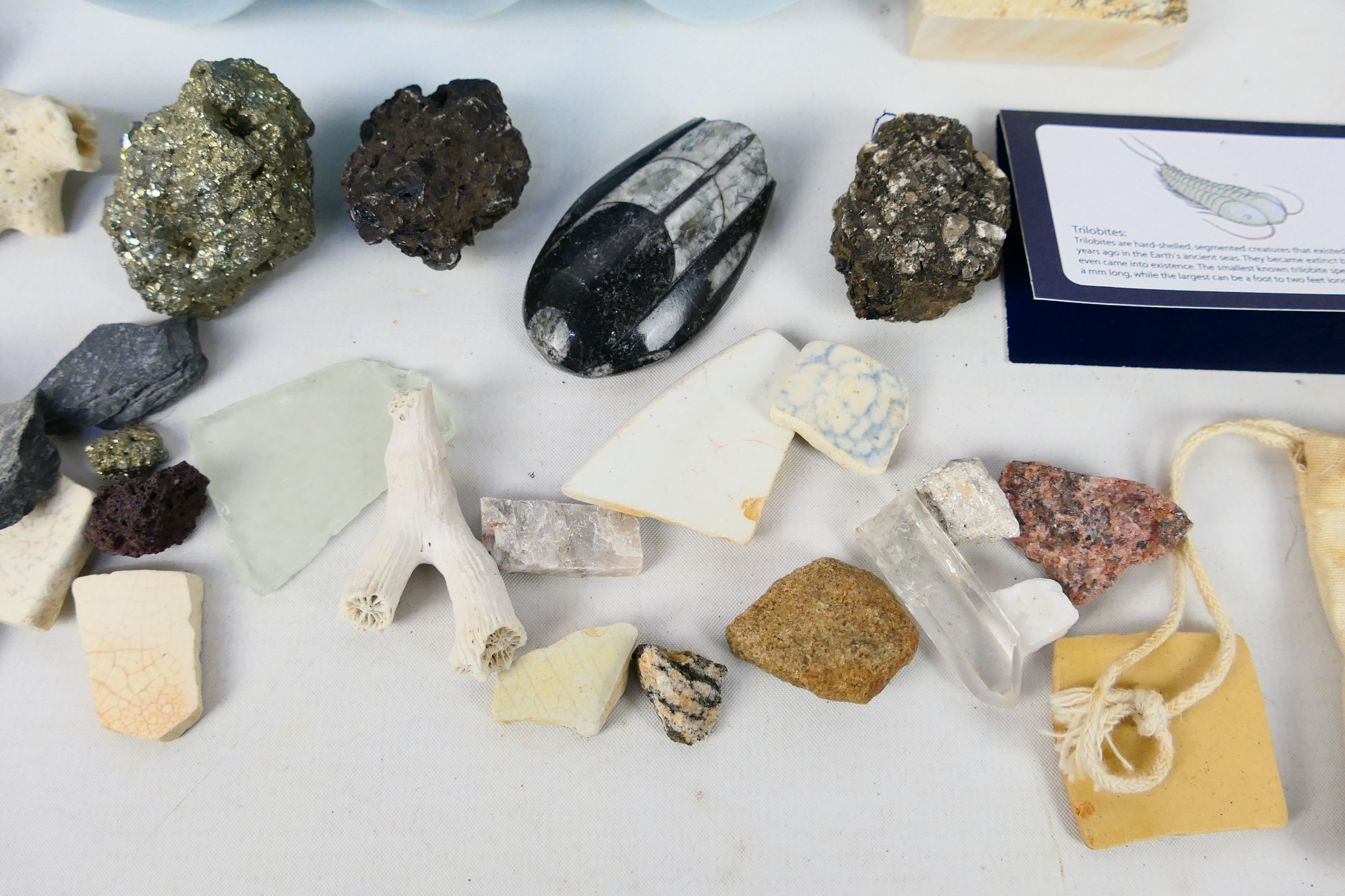 Lot comprising fossils, mineral samples, - Image 5 of 9