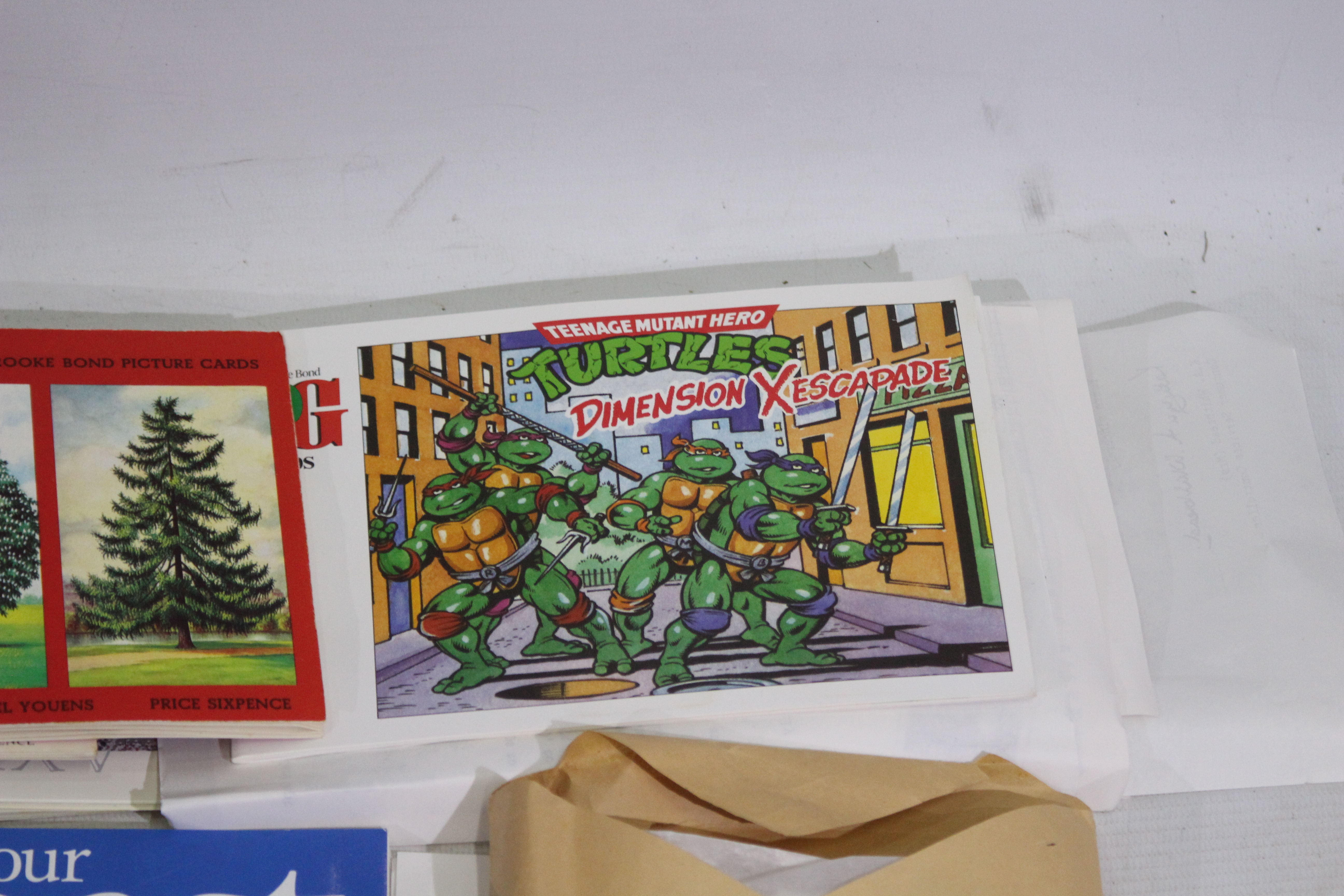 A collection of picture card albums including Ninja Turtles, The Magical World of Disney, - Image 2 of 4