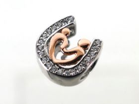 Pandora, Other - A silver Horse Shoe wed
