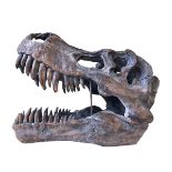 Composite model of dinosaur skull.