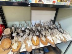 Large collection of antlers, many on wood mounts.